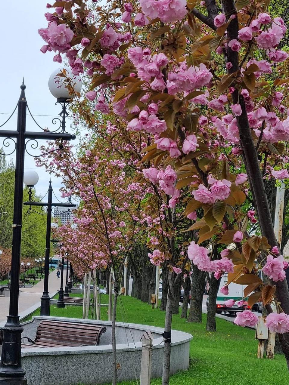 photo_2024-04-16_12-57-43