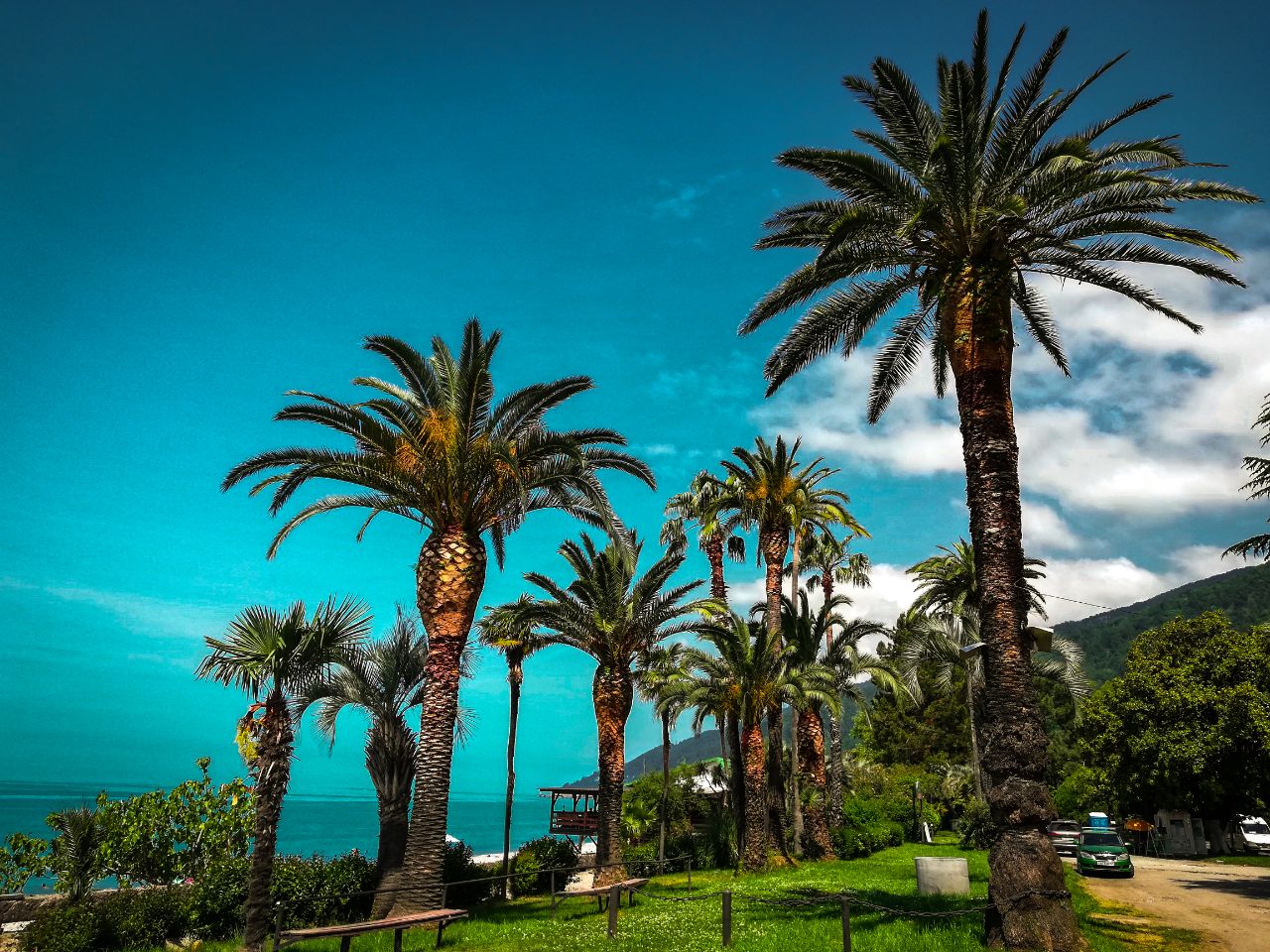 photo_2025-01-30_14-55-56